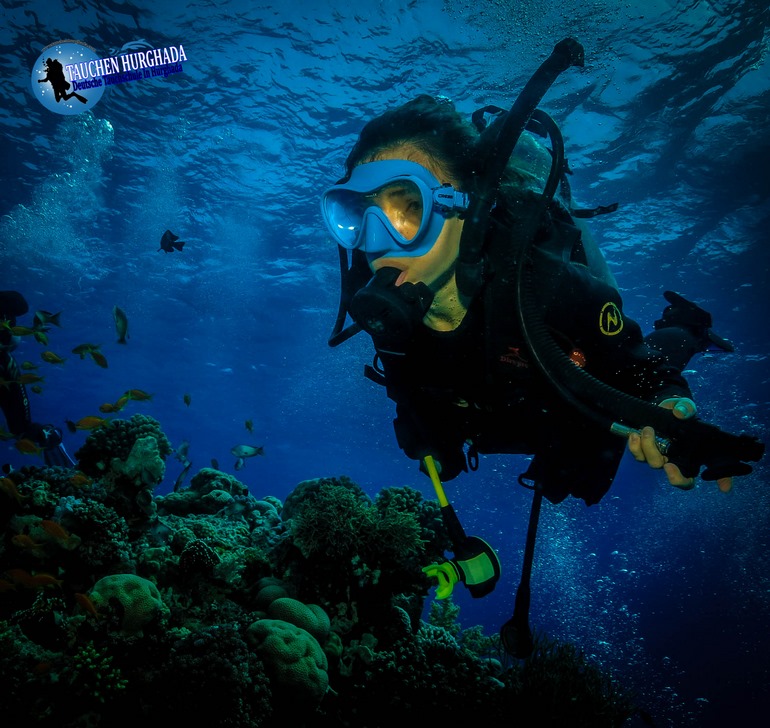 PADI Open Water Diver Kurs Deutsche Tauchschule In Hurghada Tauchkurs